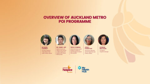 Overview of Auckland Metro Poi Programme